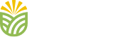 Technik